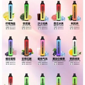 SP2S 7000 Puffs 大容量拋棄式電子菸 (LANA NIC)